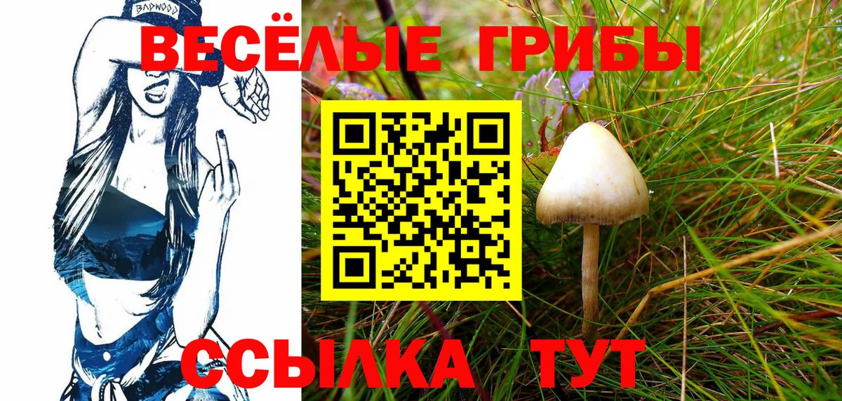 Звенигород  Гашиш  КОКАИН  Вход с VPN  Конопля  Меф   Alpha PVP СК кристаллы 